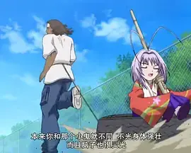 《天上天下OVA》：热血激燃的战斗传奇，感受拳拳到肉的震撼与少年意气的无限可能